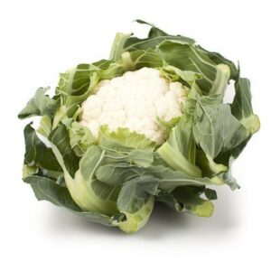 Casper F1 Karnabahar Fidesi