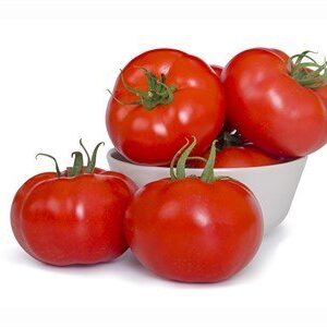 Alberty F1 Beef Domates Fidesi