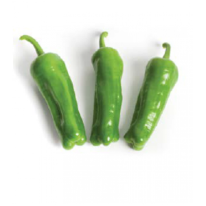 Delta 03 F1 Üçburun Köy Biberi Fidesi